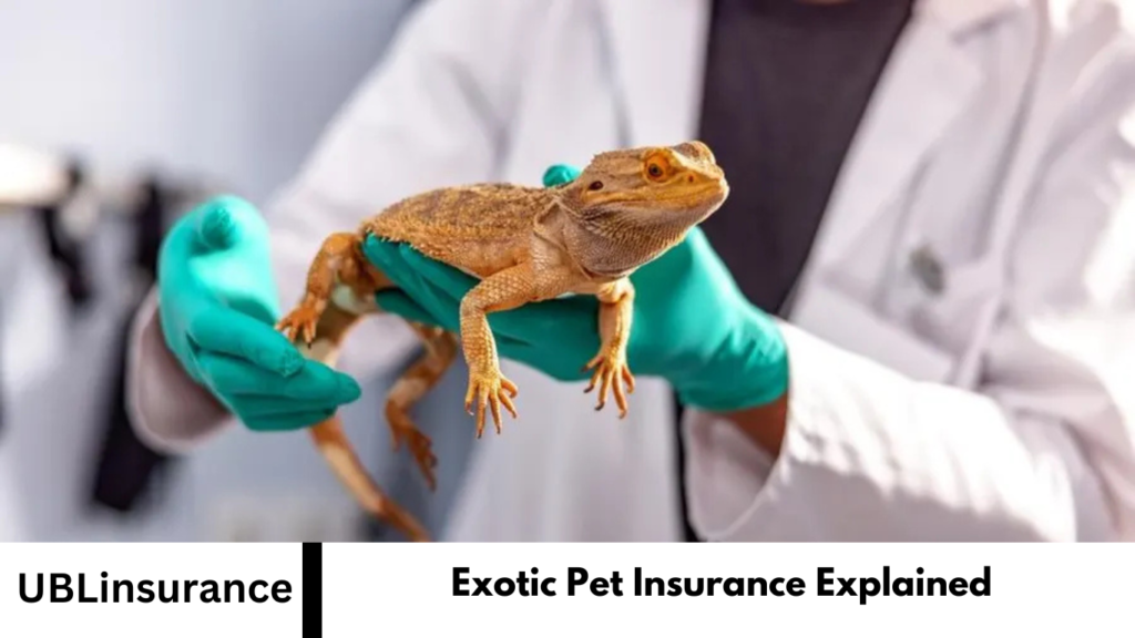 Exotic Pet Insurance Explained